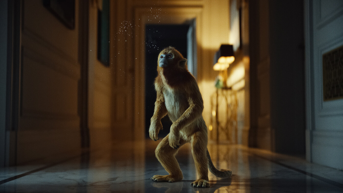 His Dark Materials: Dust